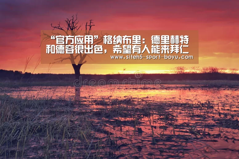 “官方应用”格纳布里:德里赫特和德容很出色,希望有人能来拜仁(图4) Android下载